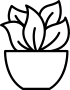 aeonium-icon
