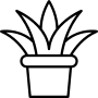 aloe-icon