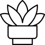 crassula-icon