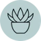 succulent-icon